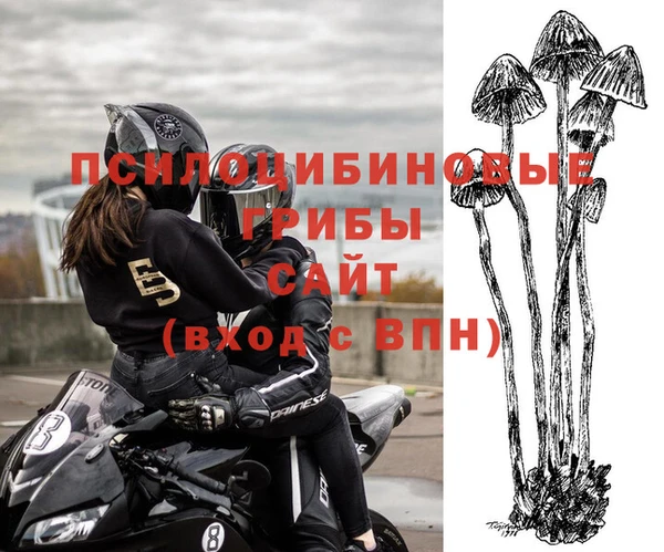 не бодяженный Абинск
