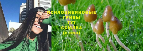 экстази Абаза