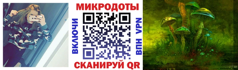 blacksprut зеркало  наркотики  Эртиль  Галлюциногенные грибы ЛСД 